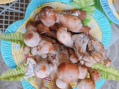 -佳缘野生菌食府