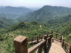 -大岭沟猕猴桃谷风景区