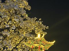 -保定理工学院(保定校区)