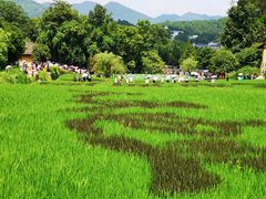 -韶山毛泽东同志故居