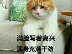 -芭比堂动物医院·犬猫全科·异宠专科(雁塔分院)