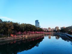 -望江楼公园