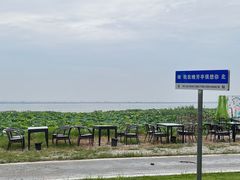 -七的湖·晚芳亭·阳澄湖农家菜·大闸蟹(莲花岛店)