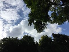 -上海市位育初级中学