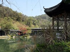 -云溪植物园