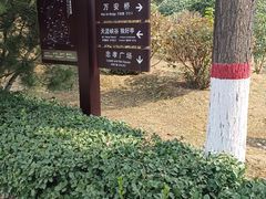 -天涯山