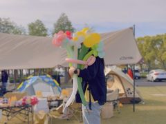 -春花秋色城市公园