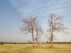 -汉长安城未央宫国家考古遗址公园