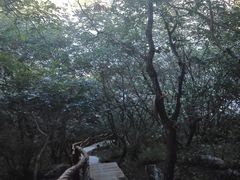 -棋盘山风景区