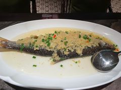 -龙悦湾酒家·八阵鱼生·渔人码头店