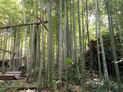 -山沟沟景区
