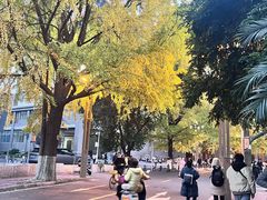 -四川大学(华西校区)