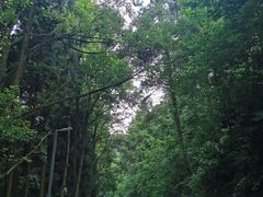 -阿哈湖国家湿地公园