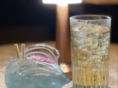 -四季酒店·空中花园 Aria on 9