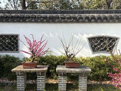 -无锡梅园公园