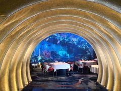 -迪拜帆船酒店海底餐厅