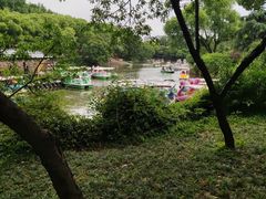 -惠山国家森林公园