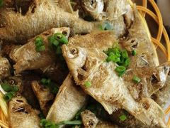 -老马家·舌尖上的西塘美食