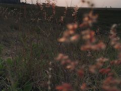 -白沙门生态公园