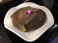 -锅说大脸毛肚重庆老火锅(佐阾店)