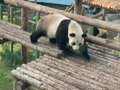 -大连森林动物园