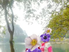 -星湖旅游景区七星岩