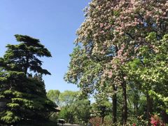 -钓鱼台国宾馆