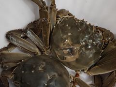 -初色海鲜自助(万丰路店)