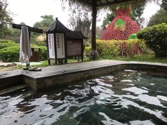 -森波拉火山温泉