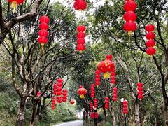 -云溪植物园