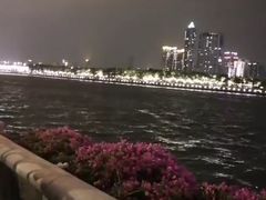 -珠江夜游广州塔·中大码头