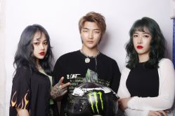 点击看大图 -金棕榈