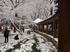 -紫金山天文台