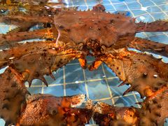-79号渔船海鲜饭店(宝安店)