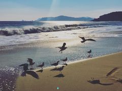 -海云台海滩