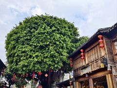 -三坊七巷历史文化街区