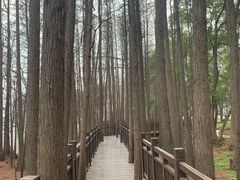 -东湖落雁景区