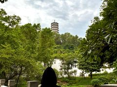 -深圳国际园林花卉博览园