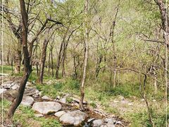 -玉渡山自然风景区