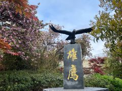-老山国家森林公园