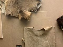 -呼伦贝尔民族博物馆