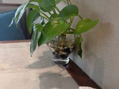 -船歌·鱼水饺青岛菜(太阳宫凯德MALL店)