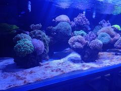 -海合安武汉极地海洋公园