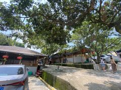 -满記土窑烧鷄波浪山莊
