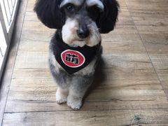 -仁华宠物医院(青羊店)