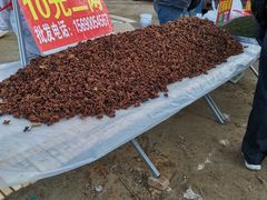 -牛头崖大集