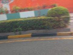 -南湖公园地摊集市