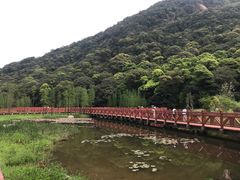 -广州市石门国家森林公园