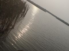 -呼兰河口湿地公园