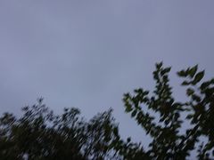 -陈帅夜排档·龙虾·炒菜·烤串(世茂店)
